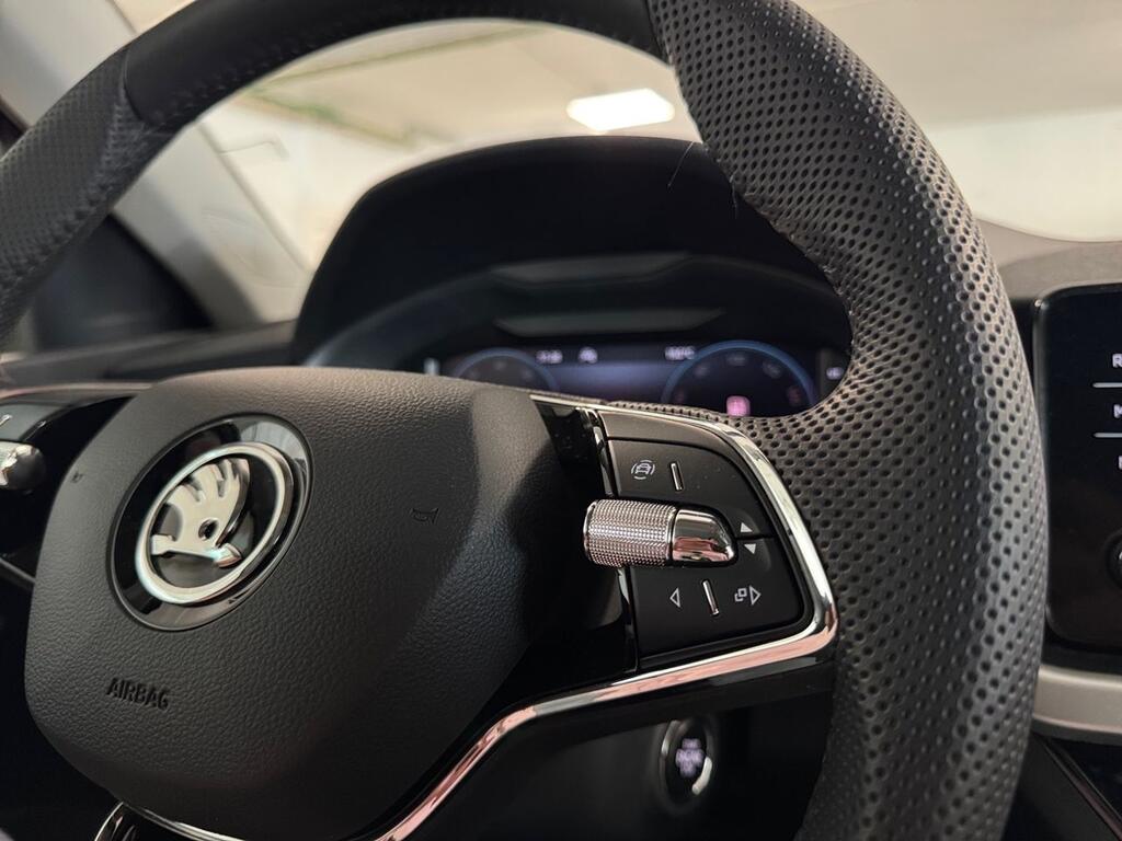 Skoda Kamiq 1.0 TSI 81kW (110CV) DSG AMBITION 10