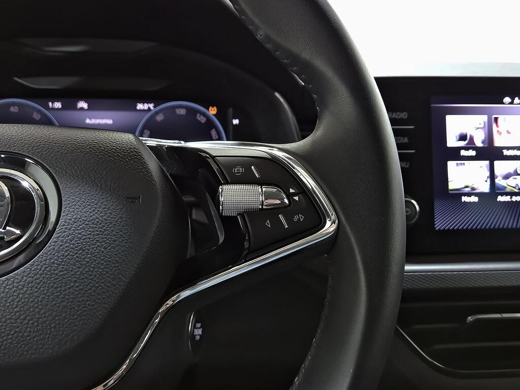 Skoda Scala 1.0 TSI 81KW (110 CV) Ambition 15