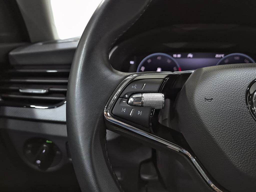 Skoda Scala 1.0 TSI 81KW (110 CV) Ambition 14