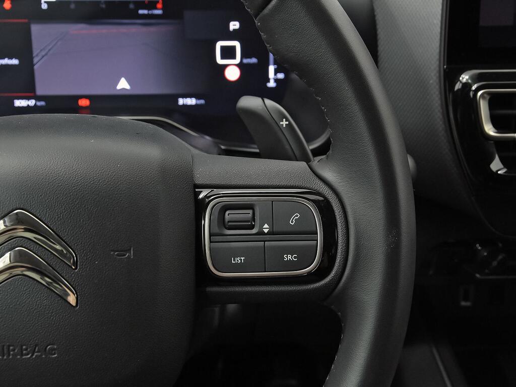 Citroën C5 Aircross PureTech 96kW (130CV) S&S EAT8 C Series 19