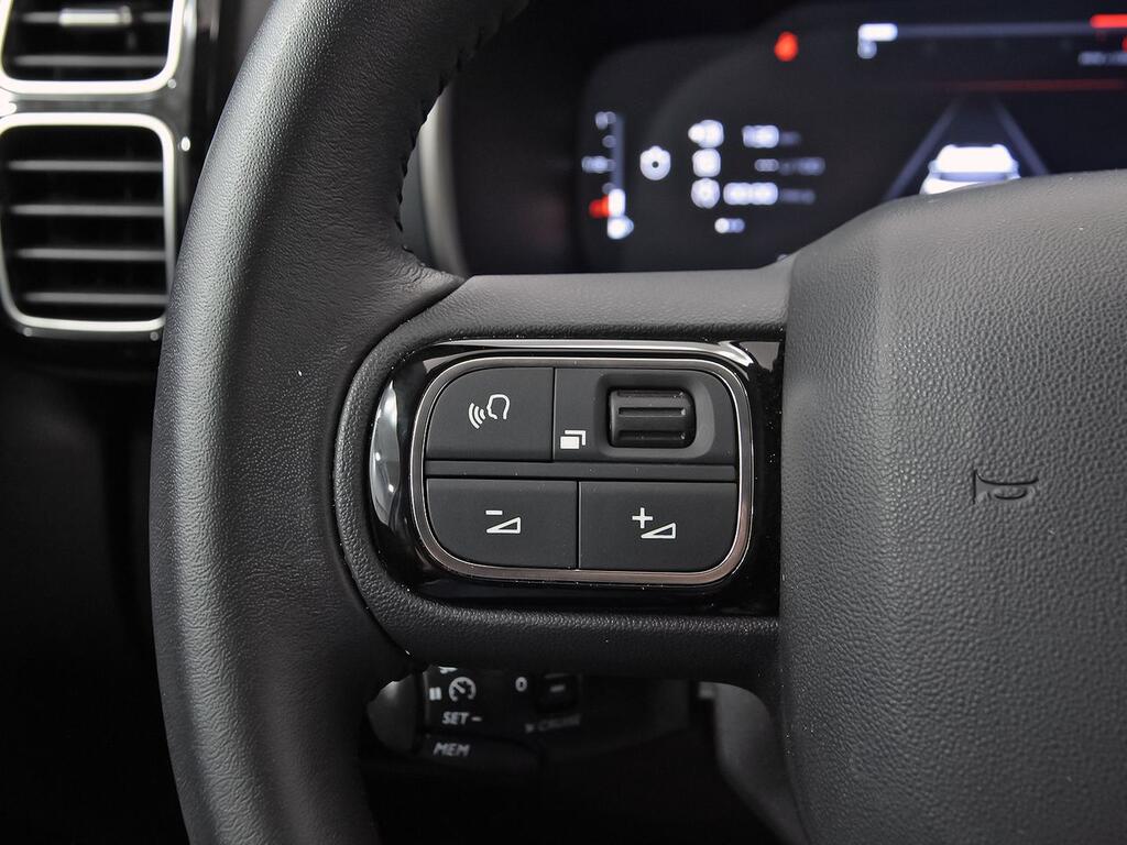 Citroën C5 Aircross PureTech 96kW (130CV) S&S Plus 22