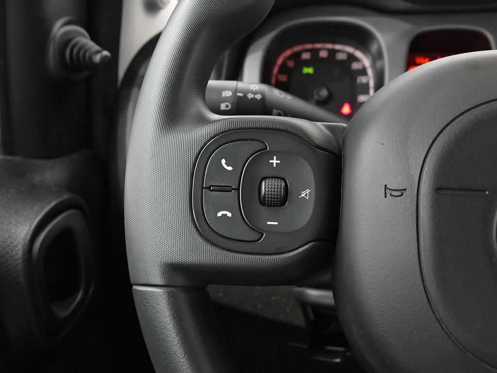 Fiat Panda Cross 1.0 Gse 51kw (70CV) 15