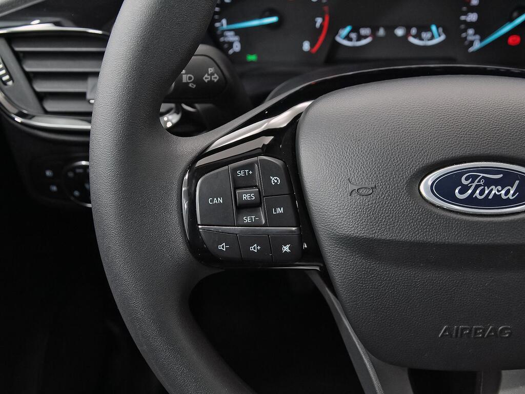 Ford Fiesta 1.0 EcoBoost 74kW (100CV) Trend 5p 17