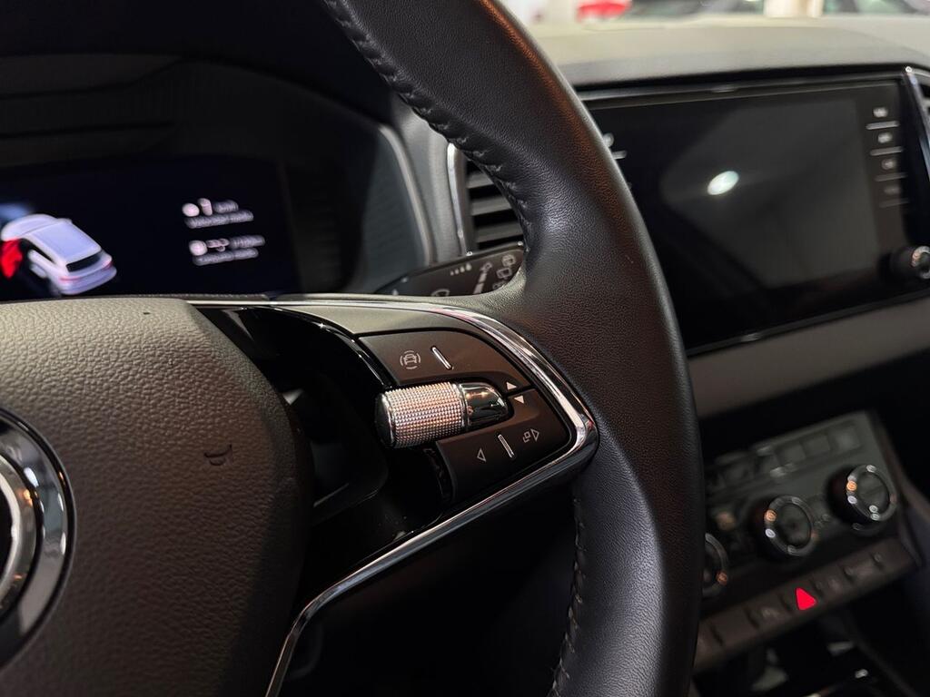 Skoda Karoq 2.0 TDI 85kW (115CV) Ambition 10