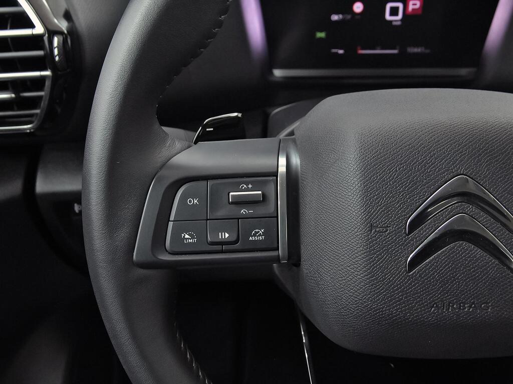 Citroën C4 X BlueHDi 130 S&S EAT8 Plus 17
