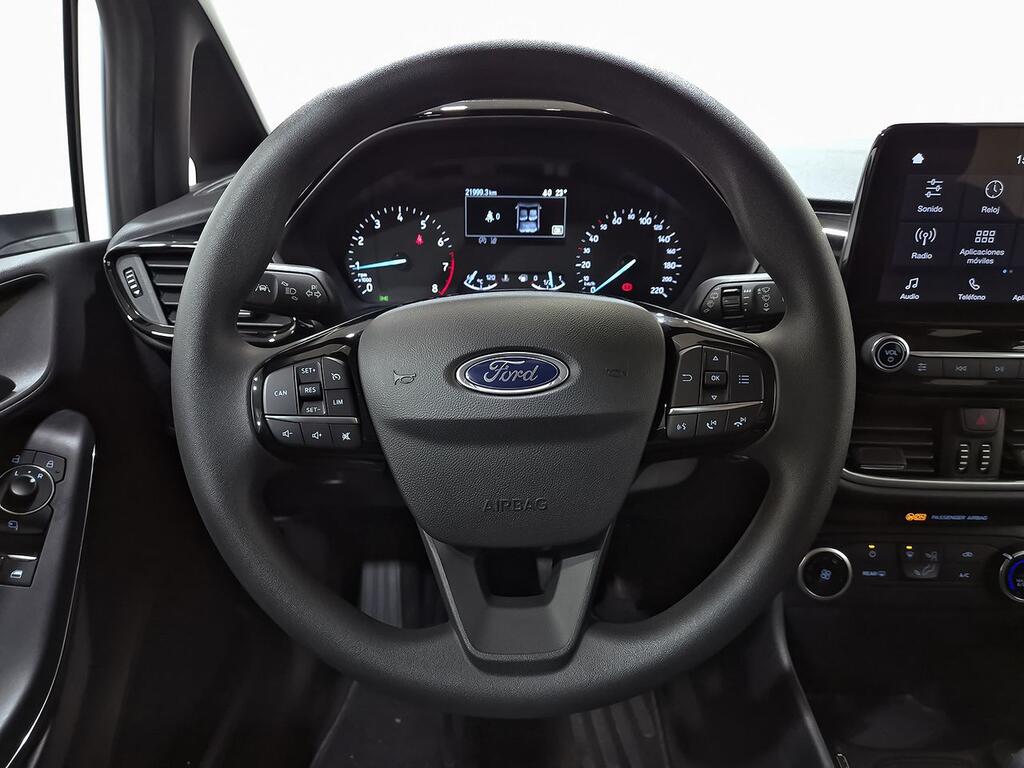 Ford Fiesta 1.0 EcoBoost 74kW (100CV) Trend 5p 19
