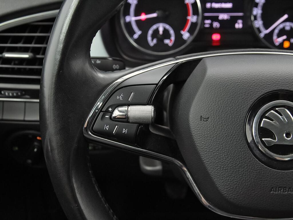 Skoda Fabia 1.0 TSI 70KW (95cv) Ambition 15