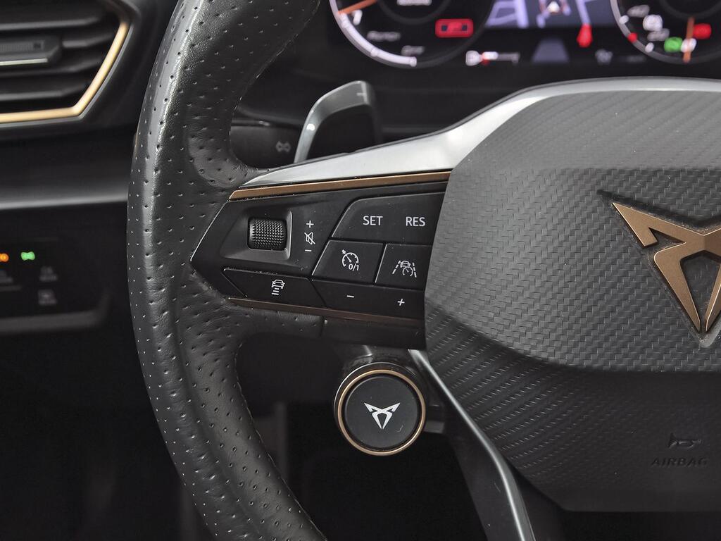 Cupra Formentor 2.0 TSI 228kW) 4Drive DSG L Ed Petrol M 18