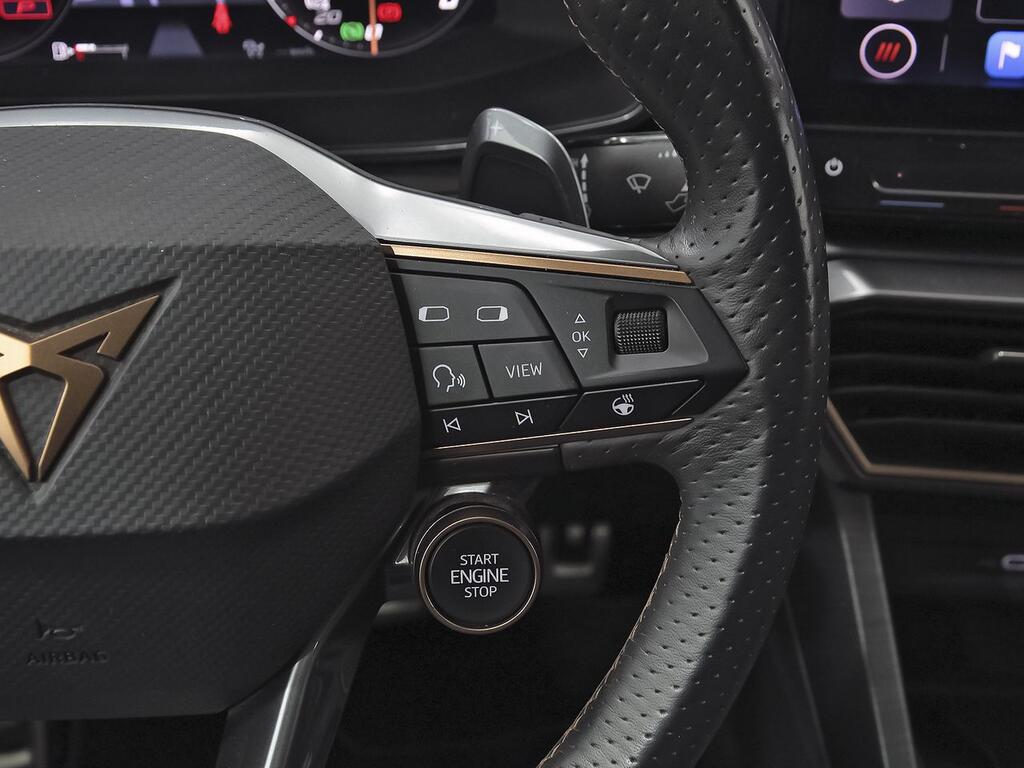 Cupra Formentor 2.0 TSI 228kW) 4Drive DSG L Ed Petrol M 19