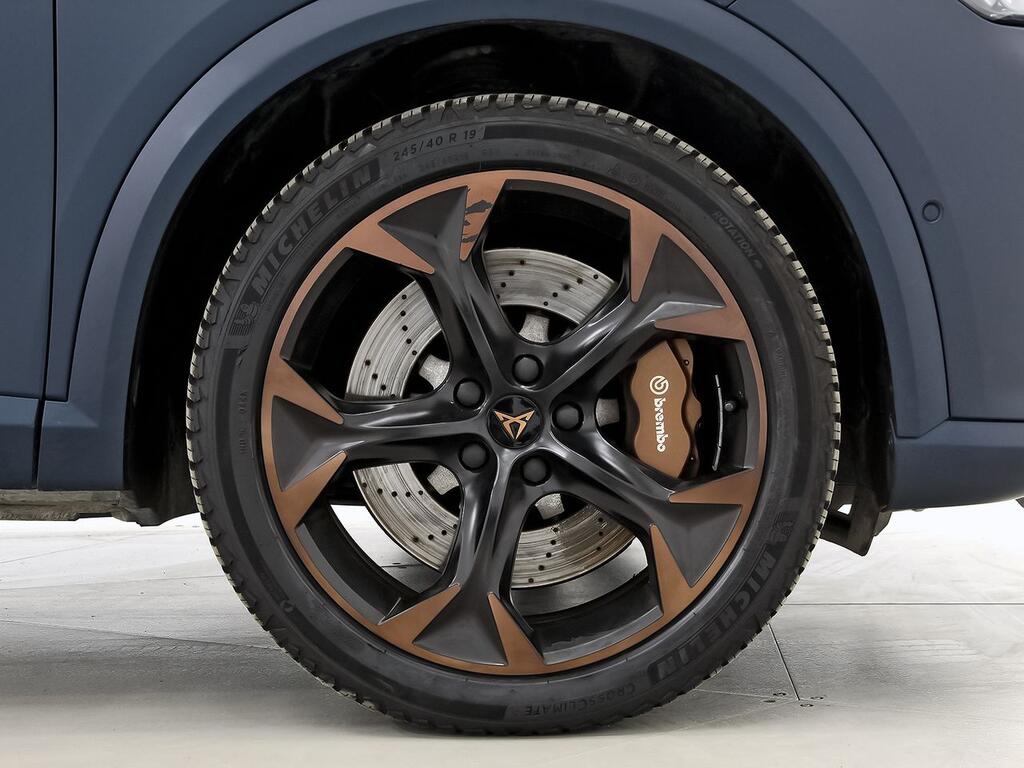 Cupra Formentor 2.0 TSI 228kW) 4Drive DSG L Ed Petrol M 10