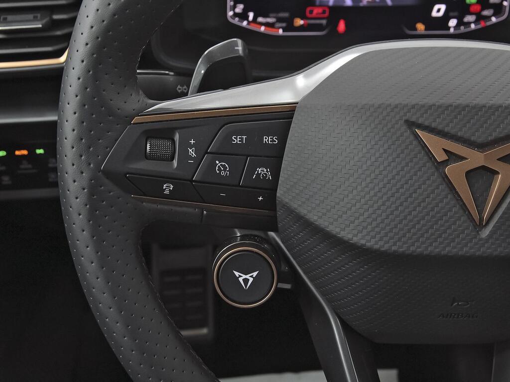 Cupra León SP VZ 2.0 TSI 228kW (310 CV) 4Drive DSG 16