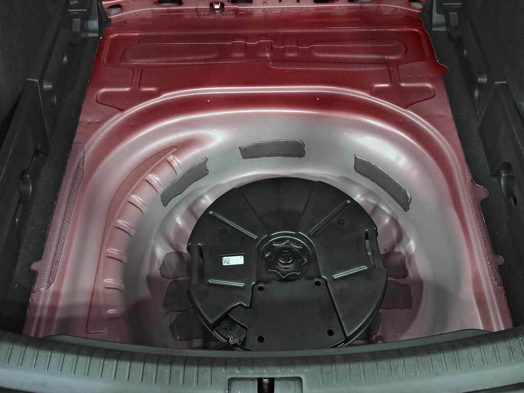 Cupra León SP VZ 2.0 TSI 228kW (310 CV) 4Drive DSG 38