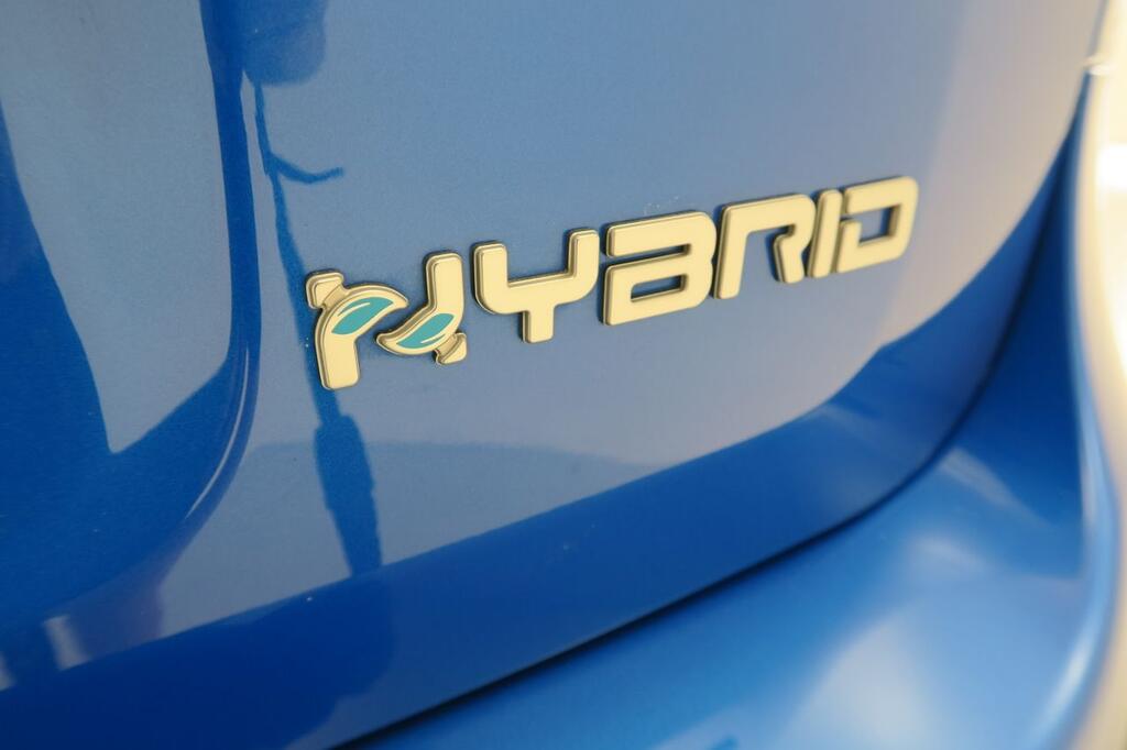 Fiat Panda CROSS 1.0 MHEV 70 CV 5P 19