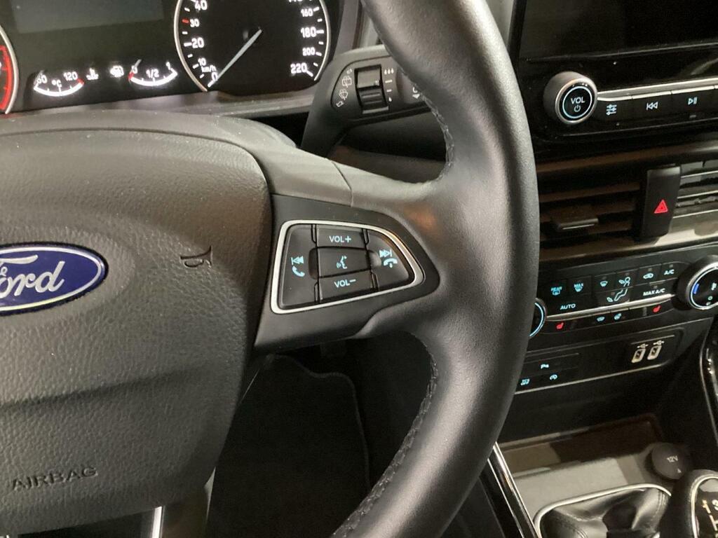 Ford Ecosport ACTIVE 1.0T ECOBOOST 125 CV 5P 14