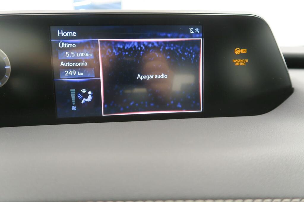 Lexus UX 250H BUSINESS 2.0 HYBRID 184 CV AUTO 5P 10