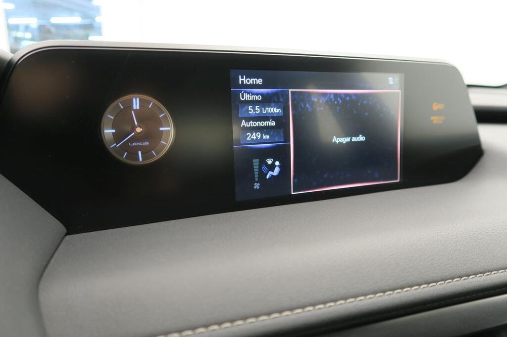 Lexus UX 250H BUSINESS 2.0 HYBRID 184 CV AUTO 5P 9