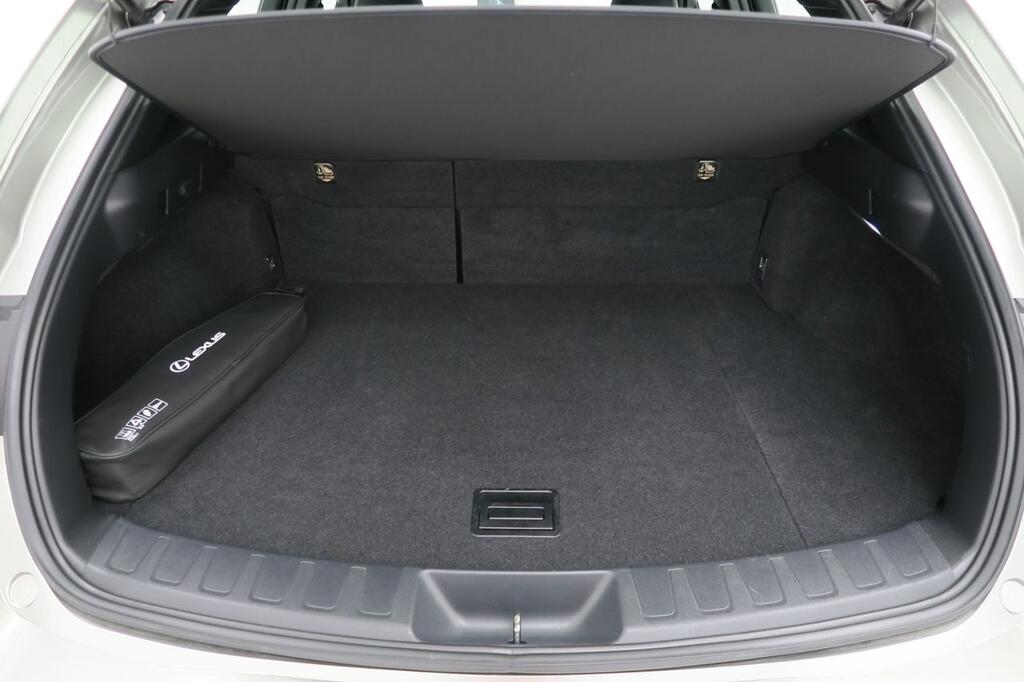 Lexus UX 250H BUSINESS 2.0 HYBRID 184 CV AUTO 5P 19