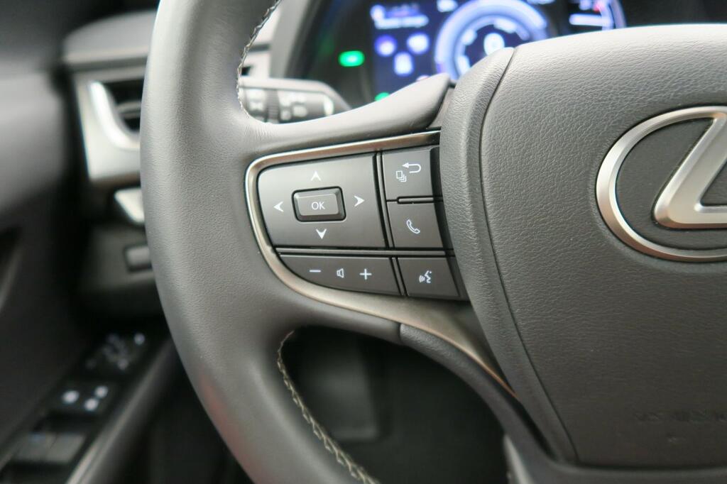 Lexus UX 250H BUSINESS 2.0 HYBRID 184 CV AUTO 5P 13