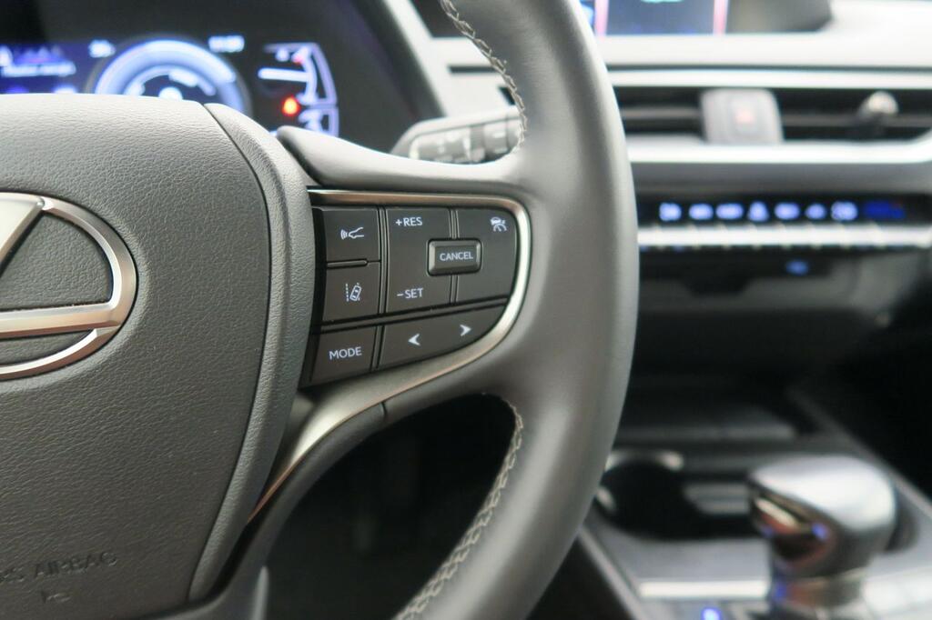 Lexus UX 250H BUSINESS 2.0 HYBRID 184 CV AUTO 5P 14