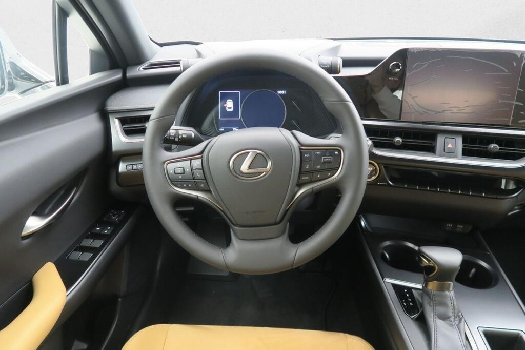 Lexus UX 250H BUSINESS 2.0 HYBRID 184 CV AUTO 5P 14