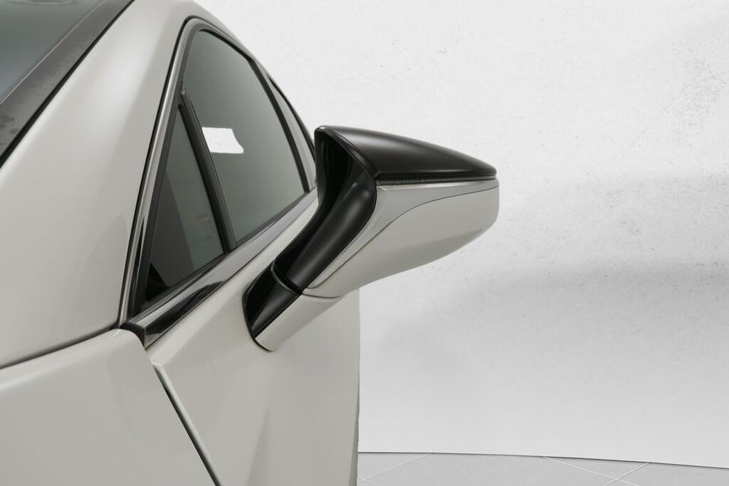 Lexus UX 250H BUSINESS 2.0 HYBRID 184 CV AUTO 5P 24