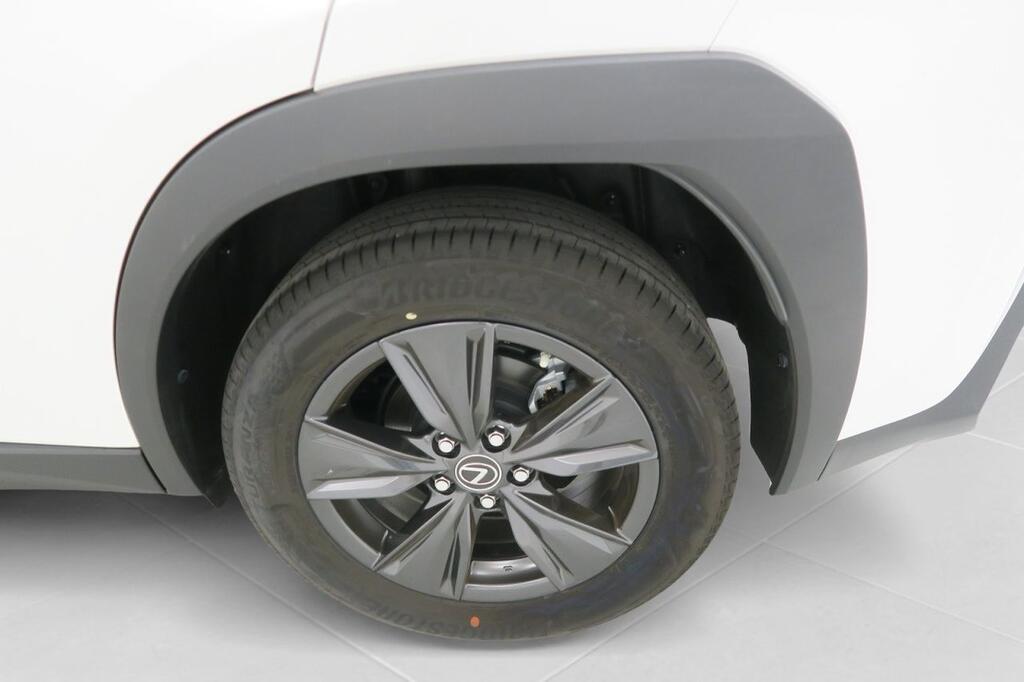 Lexus UX 250H BUSINESS 2.0 HYBRID 184 CV AUTO 5P 25