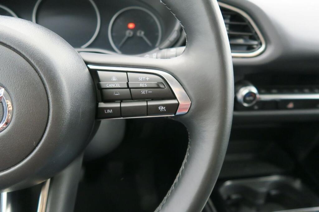 Mazda CX-30 HOMURA 2.0 E-SKYACTIV-G 122 CV 2WD 5P 13