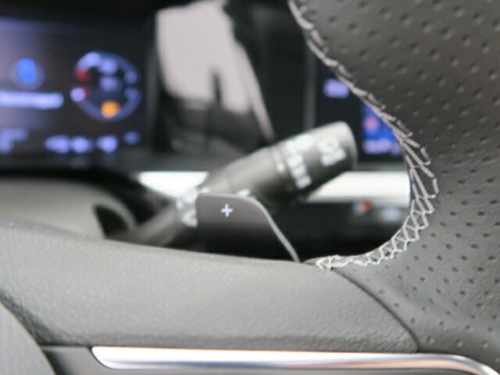 Opel Grandland GSE 1.6 TURBO PHEV 300CV AUTO 5P 14