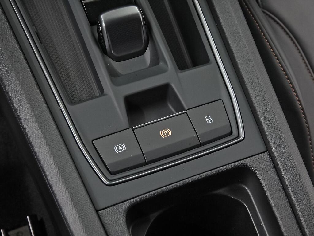 Cupra Formentor 2.5 TSI 287kW (390 CV) VZ5 4Drive DSG 33