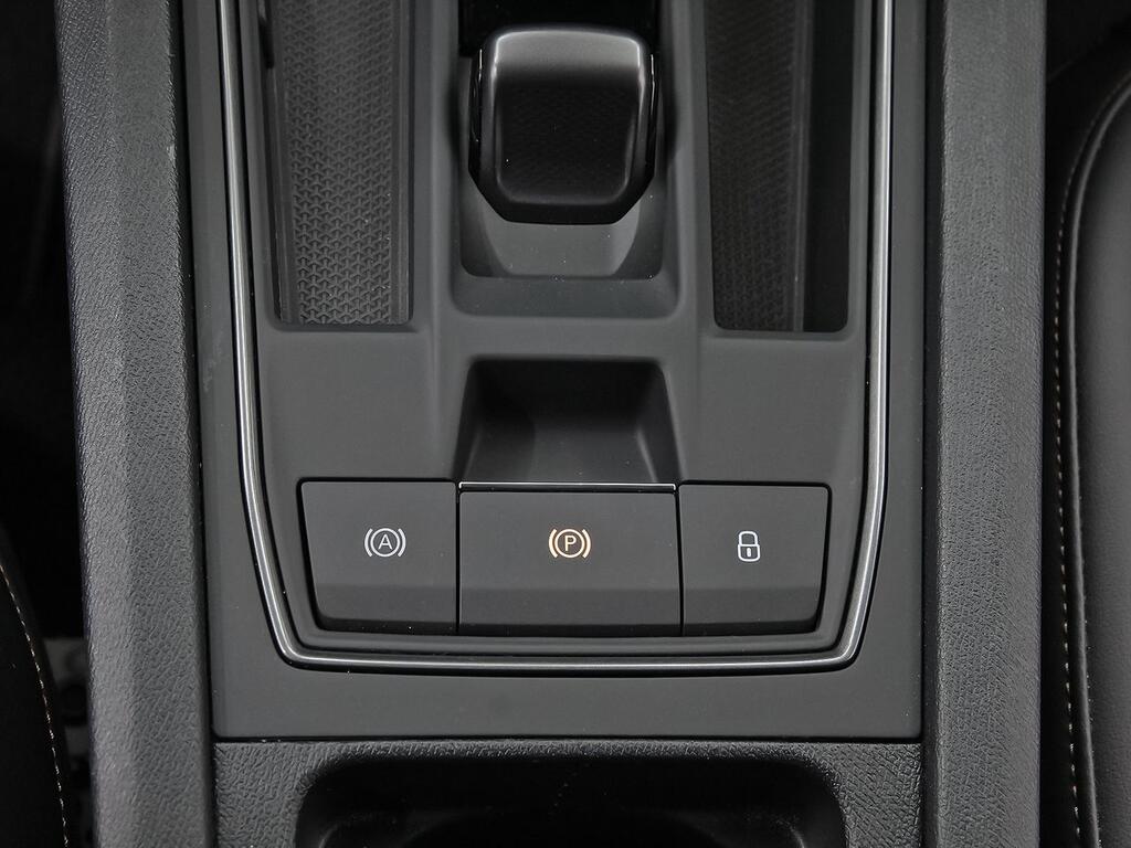 Cupra León SP 1.5 eTSI 110kW (150CV) DSG 29