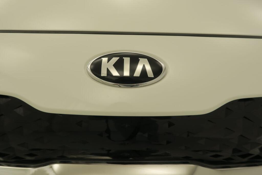 Kia Niro 1.6 HEV DRIVE 105CV 5P 19