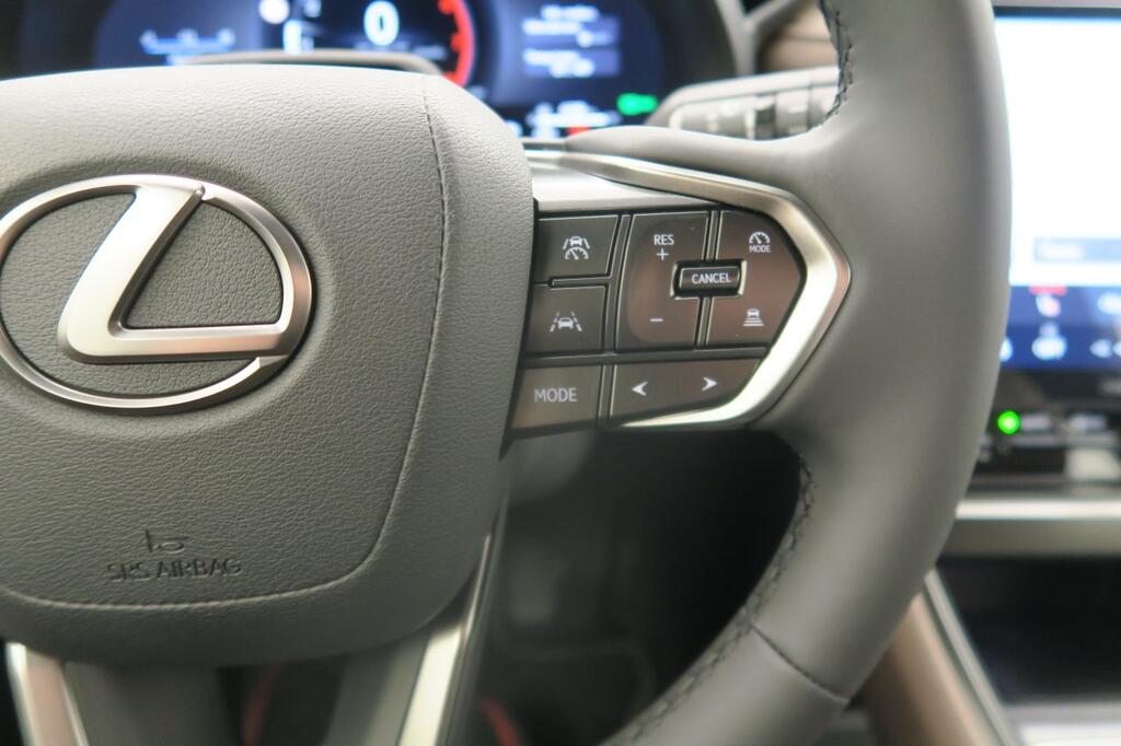 Lexus LBX ELEGANT PLUS 1.5 HYBRID 136 CV AUTO 5P 14