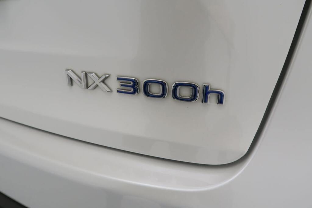 Lexus NX 300H BUSINESS NAVI. 2.5 HYBRID 197 CV AUTO 5P 2WD 22