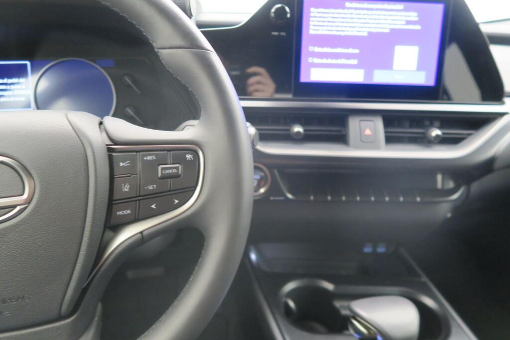 Lexus UX 250H PREMIUM 2.0 HYBRID 184 CV AUTO 5P 10