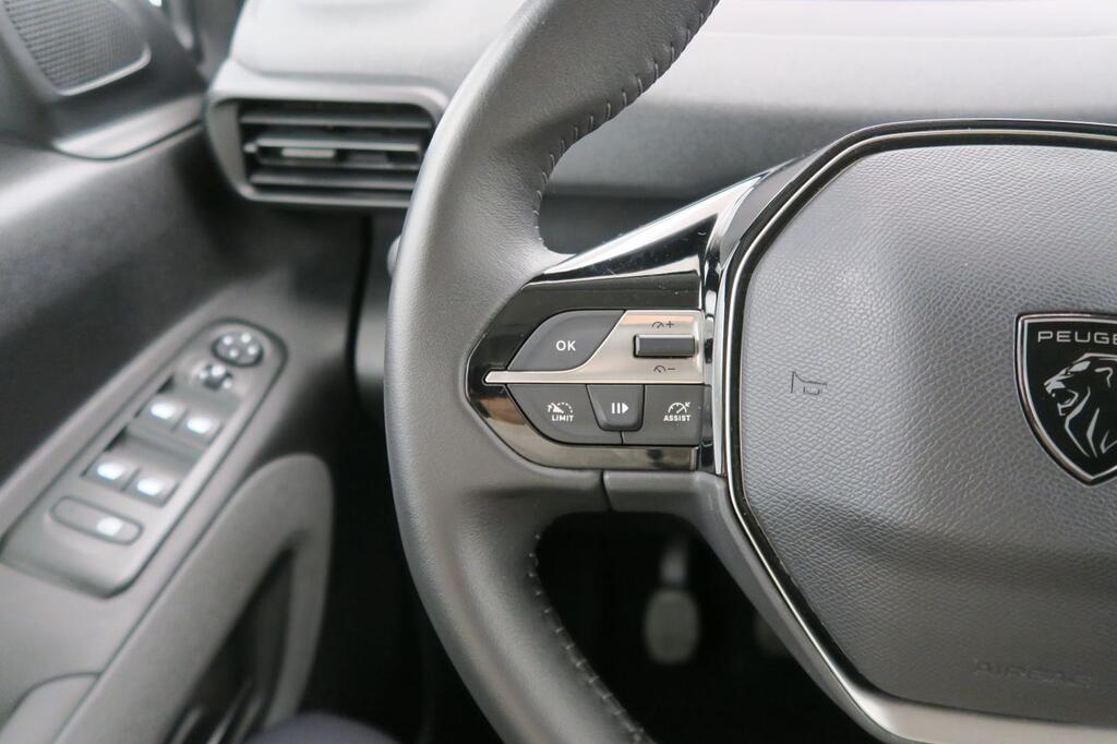 Peugeot Rifter ALLURE BUSINESS STD 1.5 BLUEHDI 100 CV 4P 11