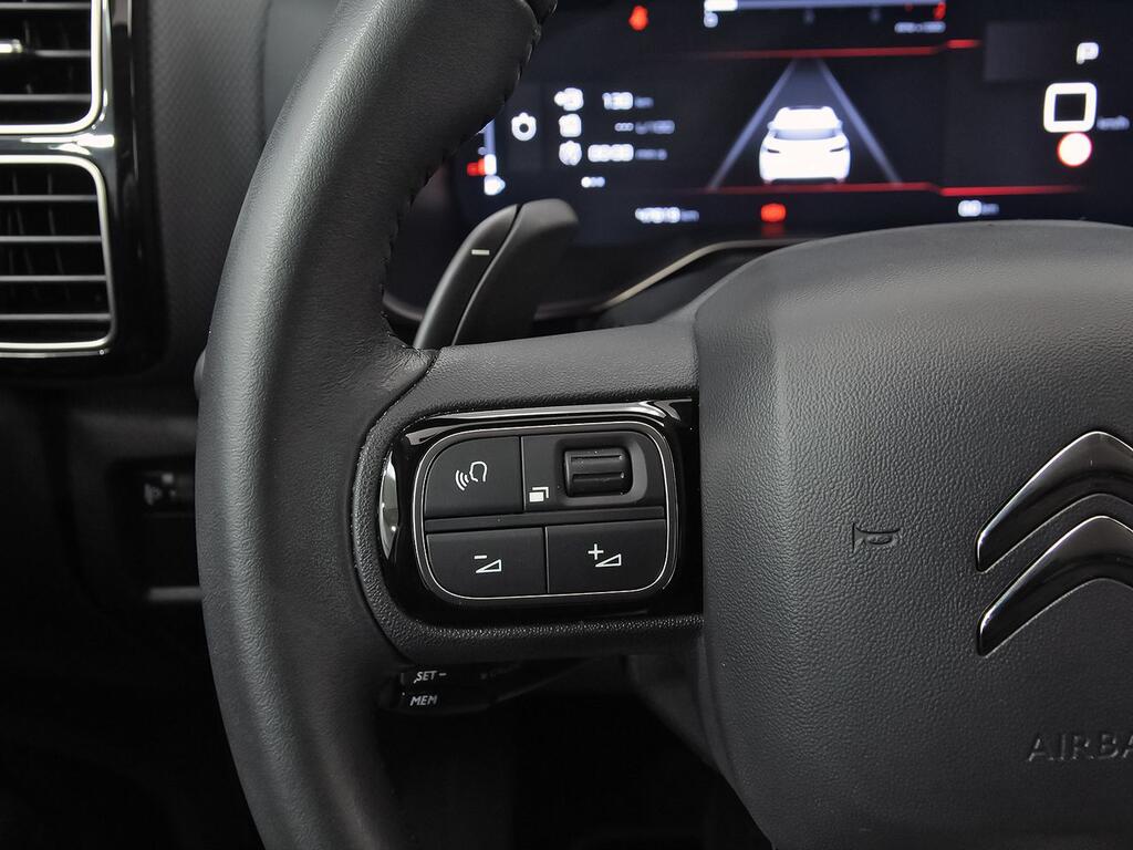 Citroën C5 Aircross BlueHdi 96kW (130CV) S&S EAT8 C Series 18