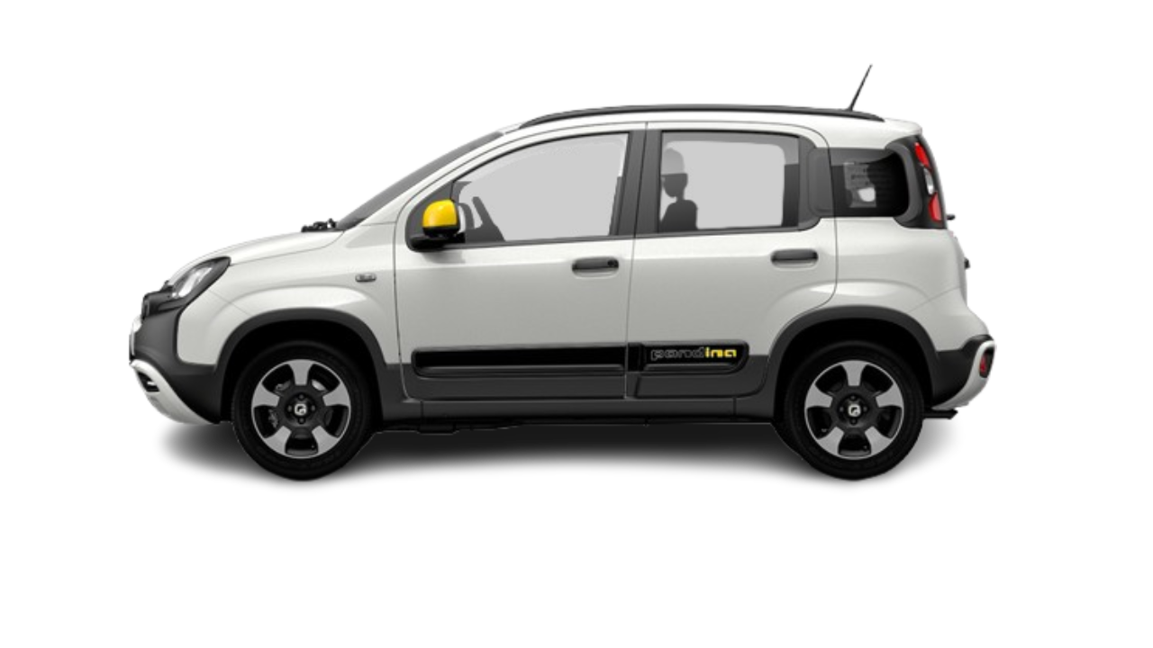 Fiat Panda Pandina